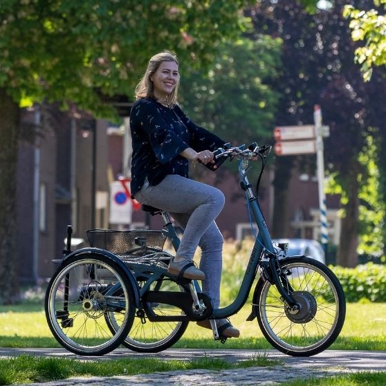 Driewielfietsen DRIEWIELER FIETS MAXI OOK ELECTRISCHE UITVOERING