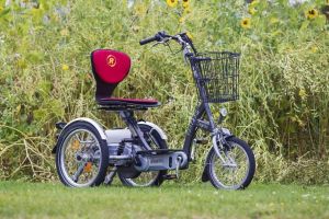 Driewielfietsen SCOOTMOBIELFIETS EASY GO