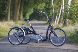 Driewielfietsen DRIEWIELER FIETS MAXI COMFORT OOK ELECTRISCHE UITVOERING