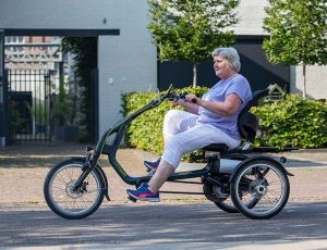 Driewielfietsen DRIEWIELER FIETS EASY RIDER